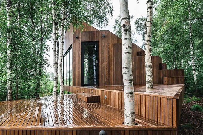 Ngôi nhà cabin với cây mọc xuyên qua sàn gỗ (Ảnh: Tonu Tunnel).