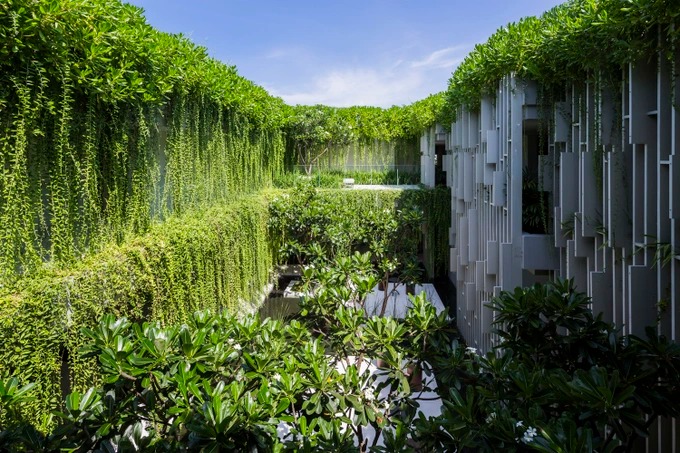 Công trình tại Đà Nẵng này được ví như là một ốc đảo yên bình, bao gồm 15 phòng trị liệu tuyệt đẹp với khu vườn ngoài trời tươi tốt.
